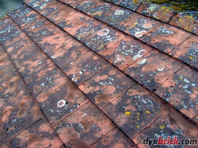 Roof After Scraping 2